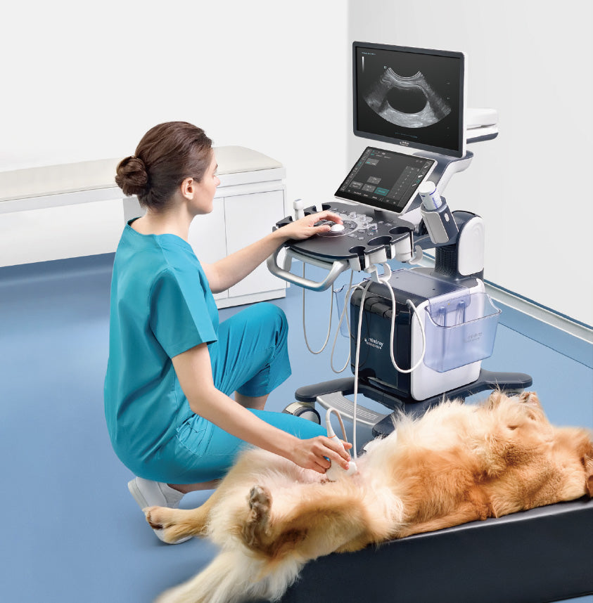Mindray Vetus 50 Ultrasound System