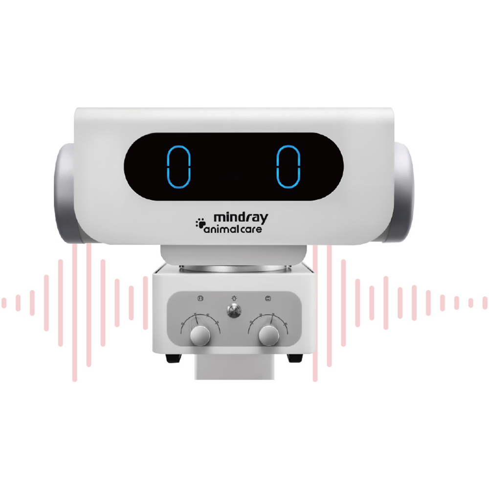 Mindray VetiX S380 Veterinary X-Ray Room