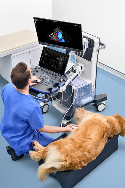 Mindray Vetus 9 Ultrasound System